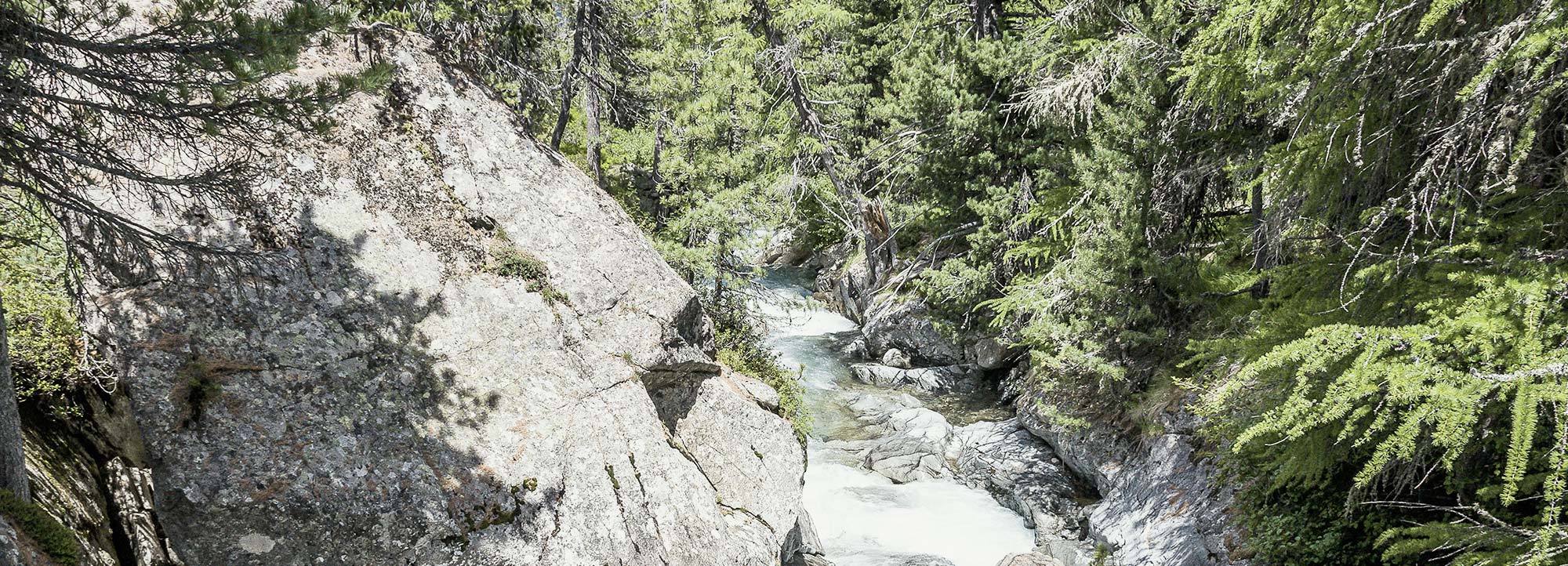 Fluss im Wald